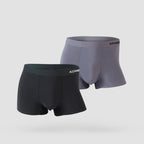 Ice Silk 2 Pack Underwear