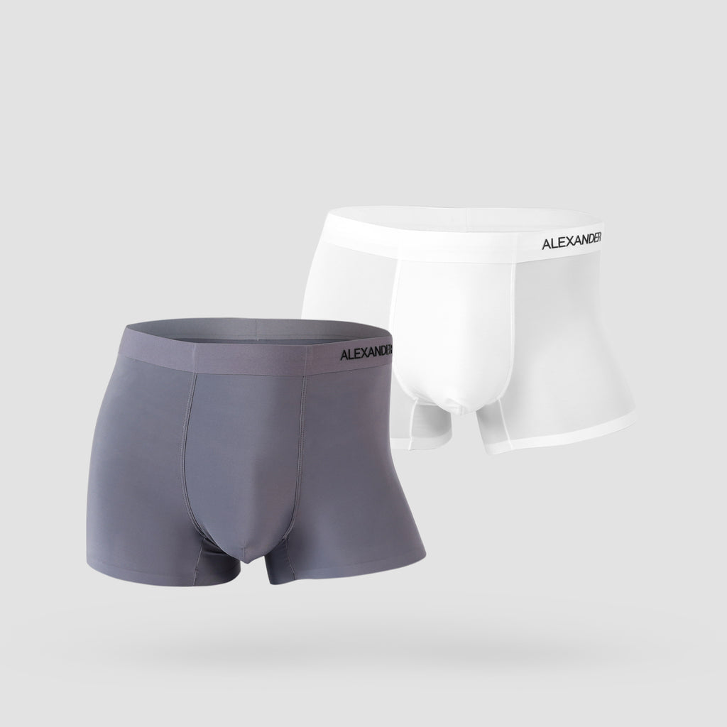 Ice Silk 2 Pack Underwear