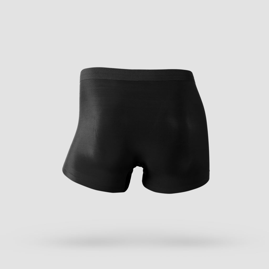 Ice Silk 2 Pack Underwear