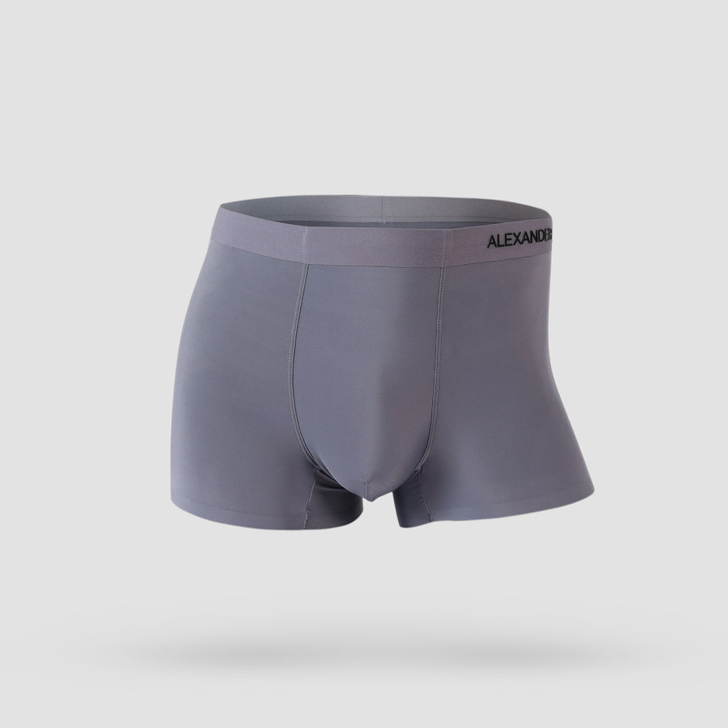 Ice Silk 1 Pack Underwear