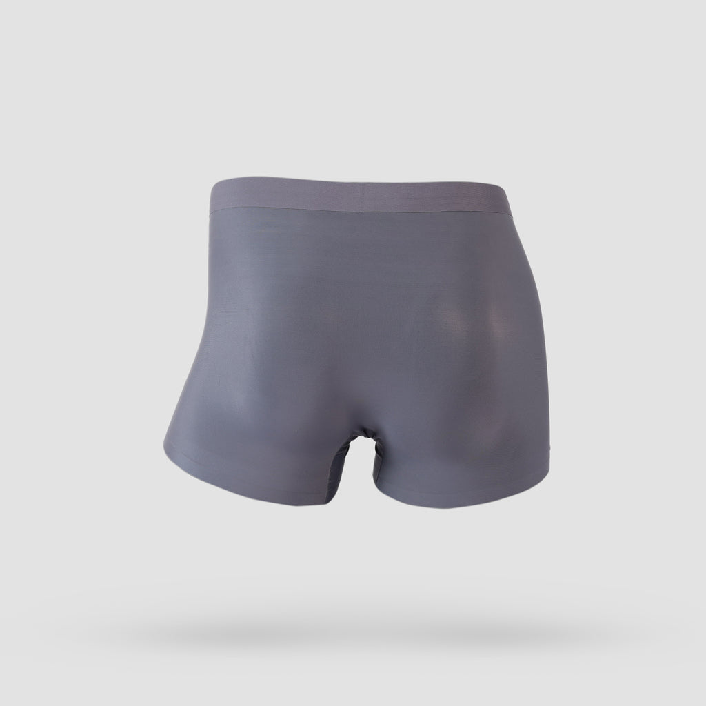 Ice Silk 1 Pack Underwear