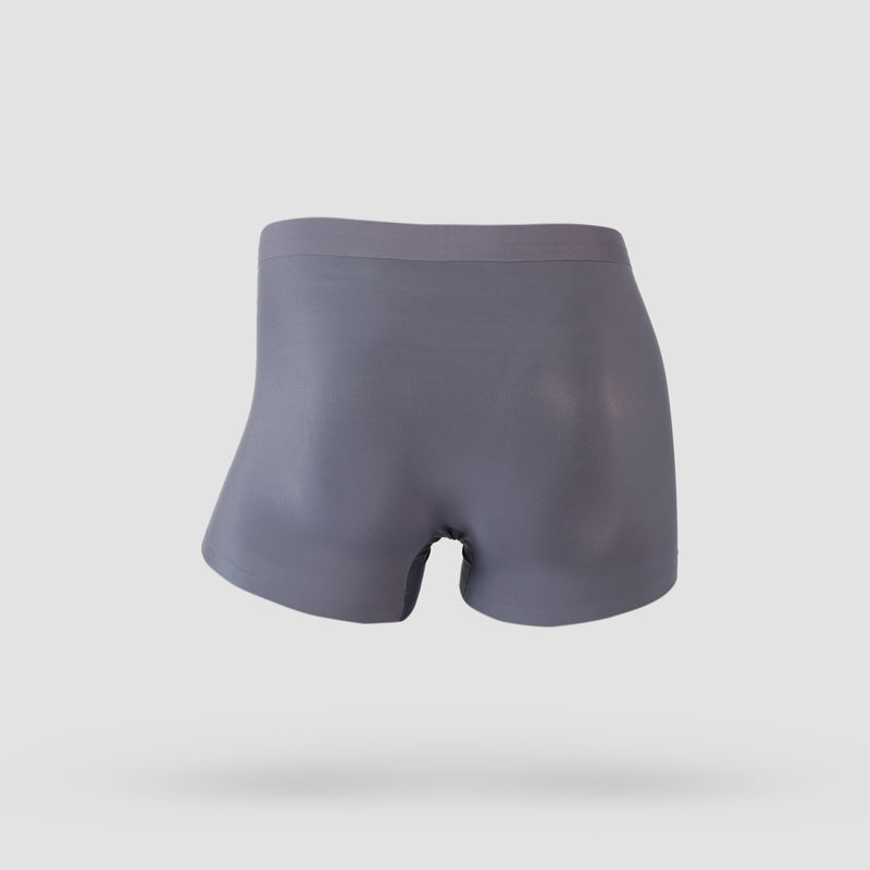 Ice Silk 1 Pack Underwear