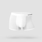 Ice Silk 1 Pack Underwear