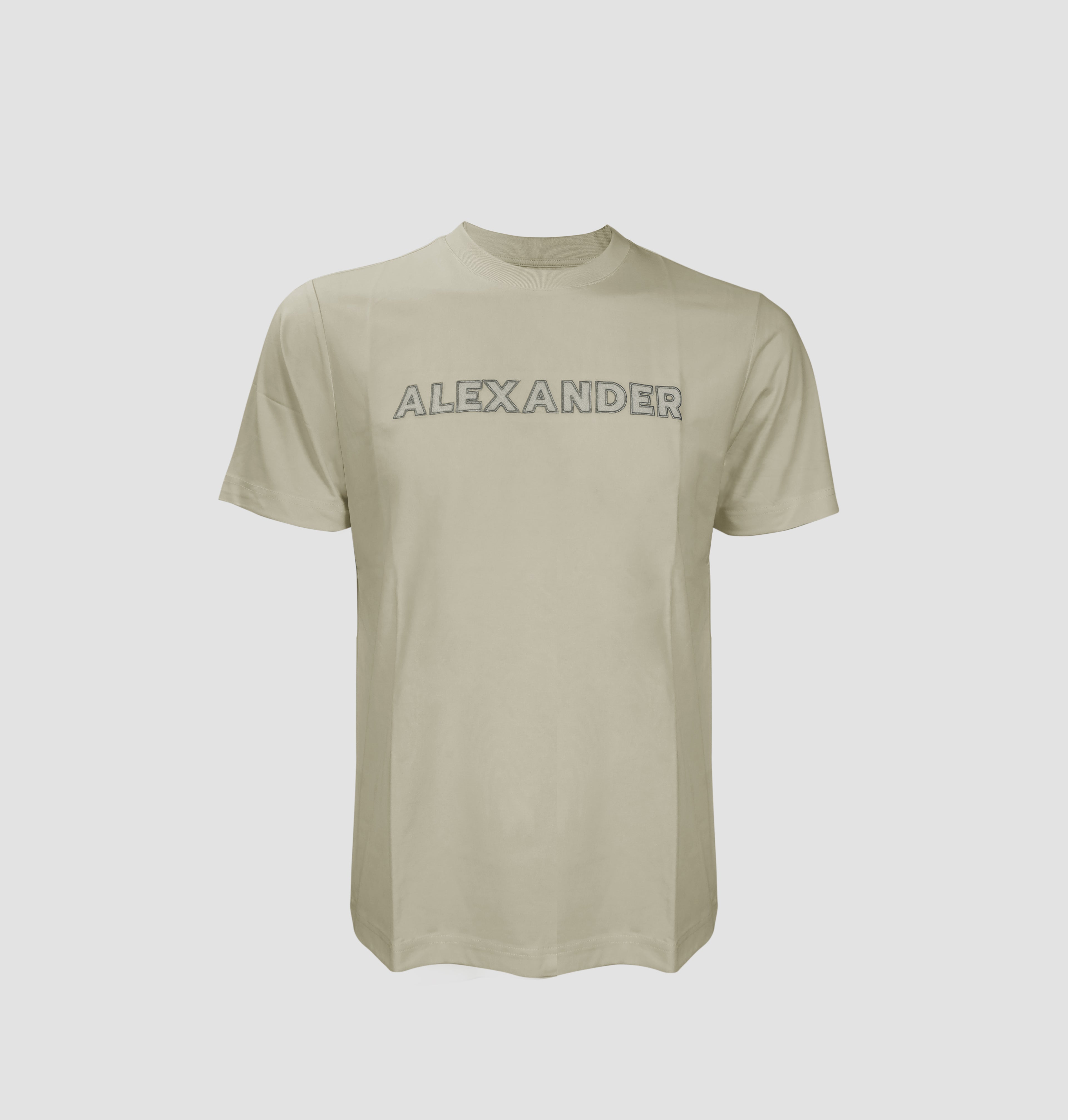Logo EMB Tee (Light Green)